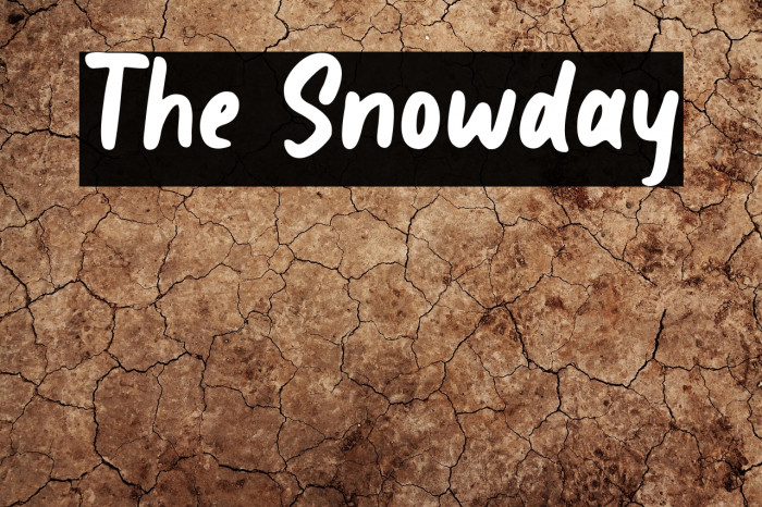 The Snowday Example 2