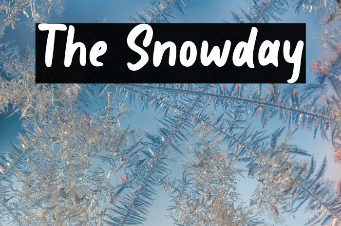 The Snowday Example 3