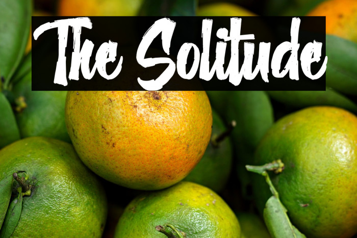 The Solitude Example 1