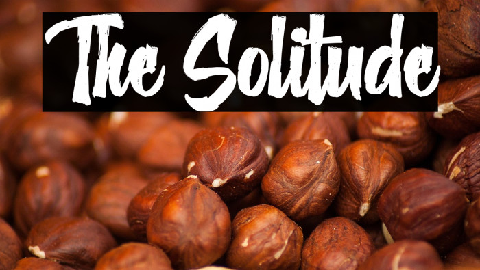 The Solitude Example 2