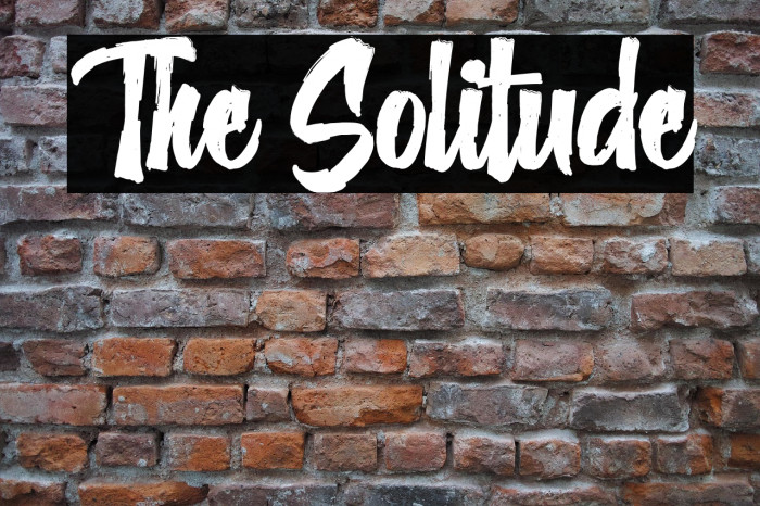The Solitude Example 3