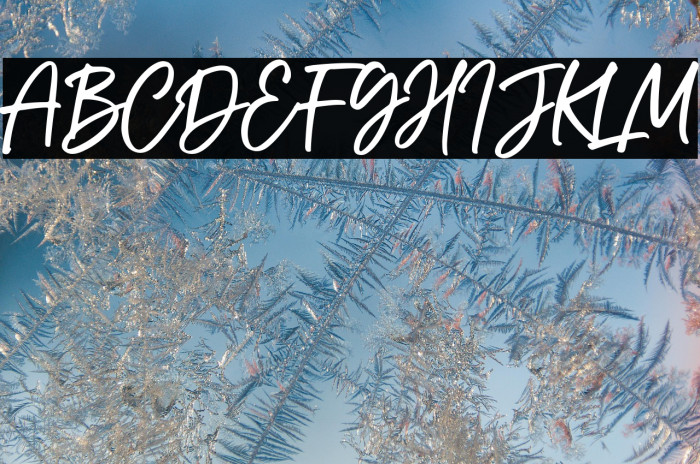 The Sopher Example 1