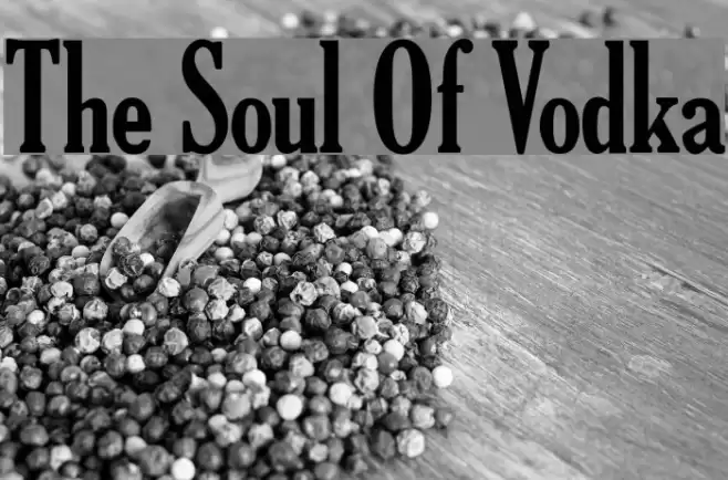 The Soul Of Vodka Font examples