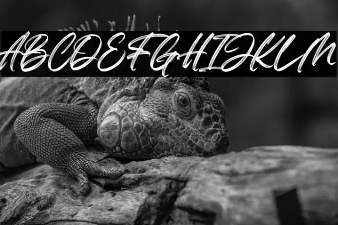 The Soulmate Font examples