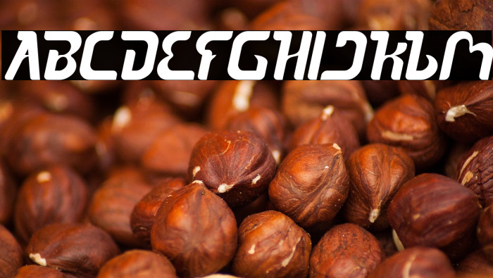 The Sound Bold Italic Example 1