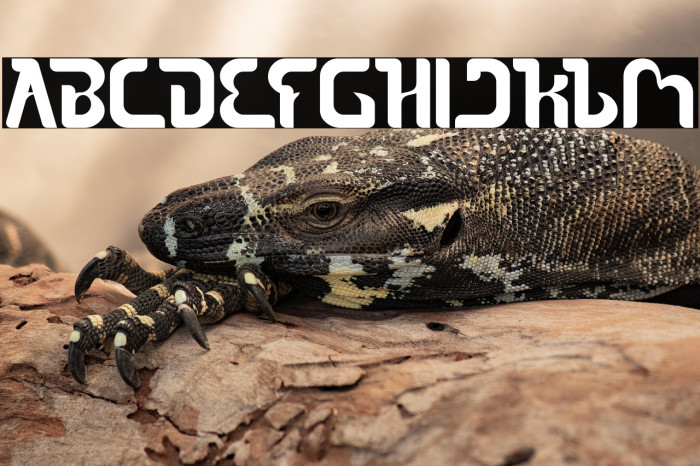 The Sound Bold Example 3