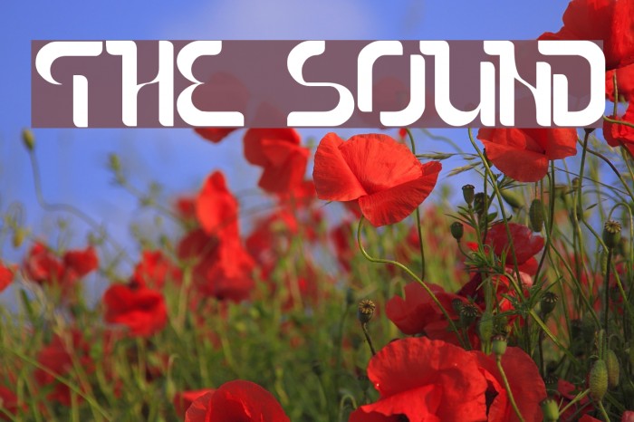 The Sound Font examples