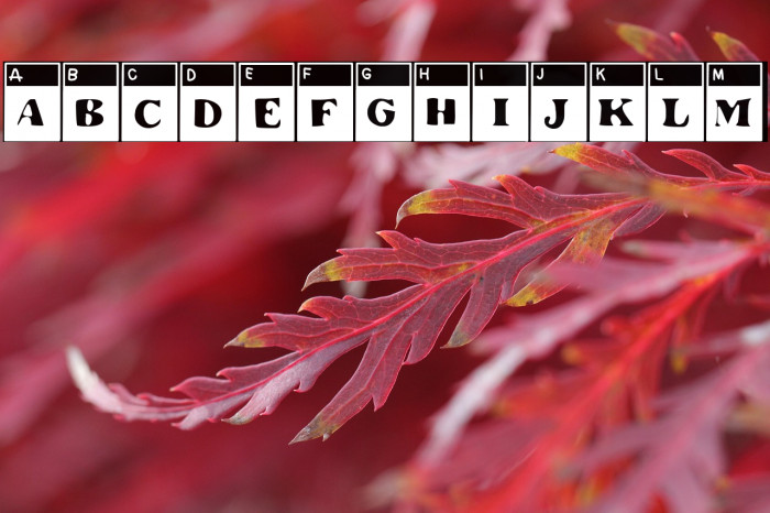 The Special Test Example 1