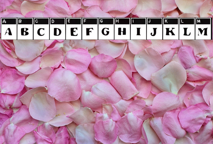 The Special Test Example 2