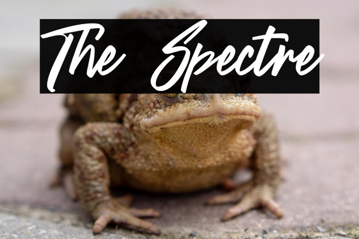 The Spectre Example 1