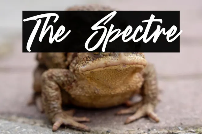 The Spectre Example 1
