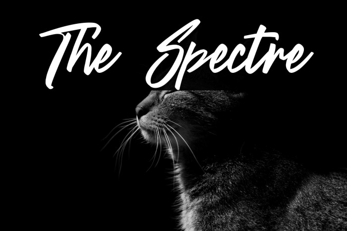 The Spectre Example 2