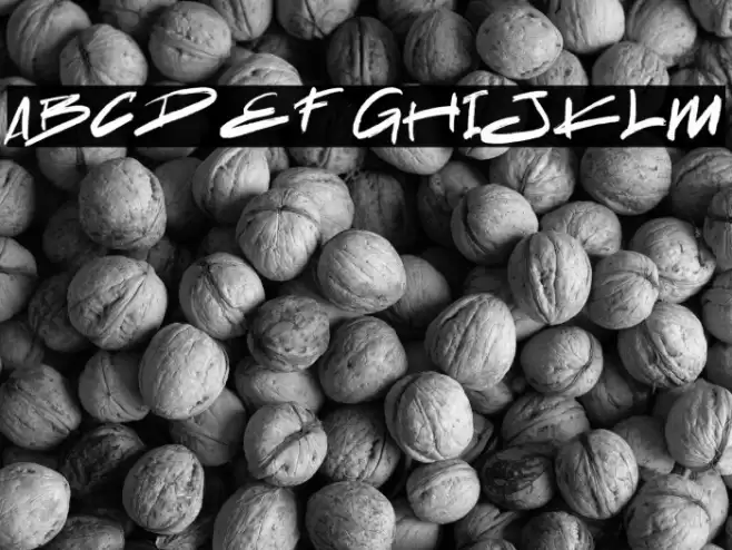 The Spooky Night Font examples