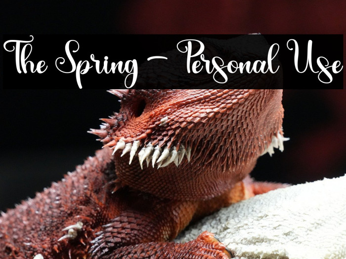 The Spring - Personal Use Example 1