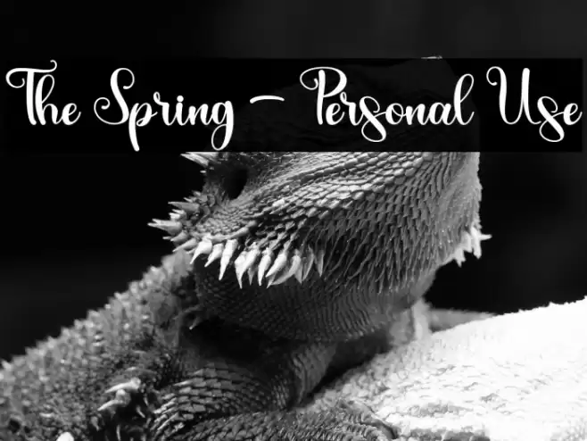 The Spring - Personal Use Font examples