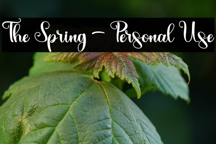 The Spring - Personal Use Example 2