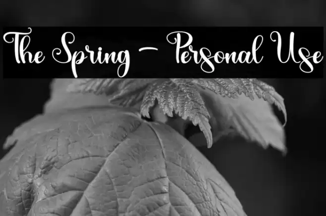 The Spring - Personal Use Font examples