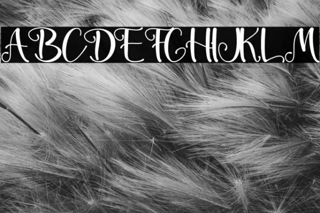 The Spring -  Personal Use Font examples