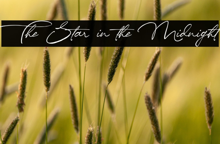 The Star in the Midnight Example 1