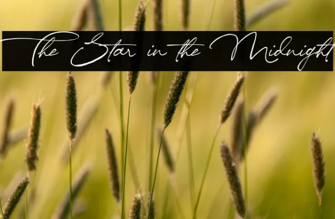 The Star in the Midnight Example 1