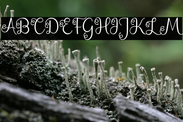 The Starlight Example 3