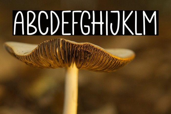 The Stellar Example 2