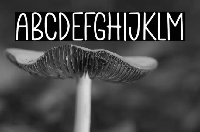 The Stellar Font examples