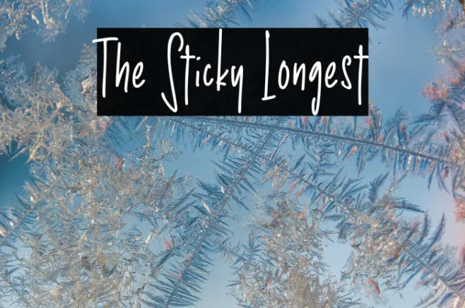 The Sticky Longest Example 3