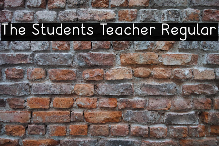 The Students Teacher Regular Example 3