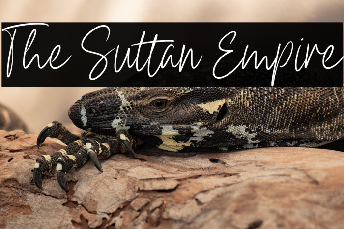 The Sultan Empire Example 2