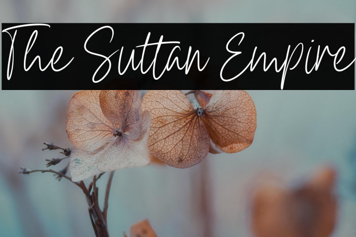 The Sultan Empire Example 3