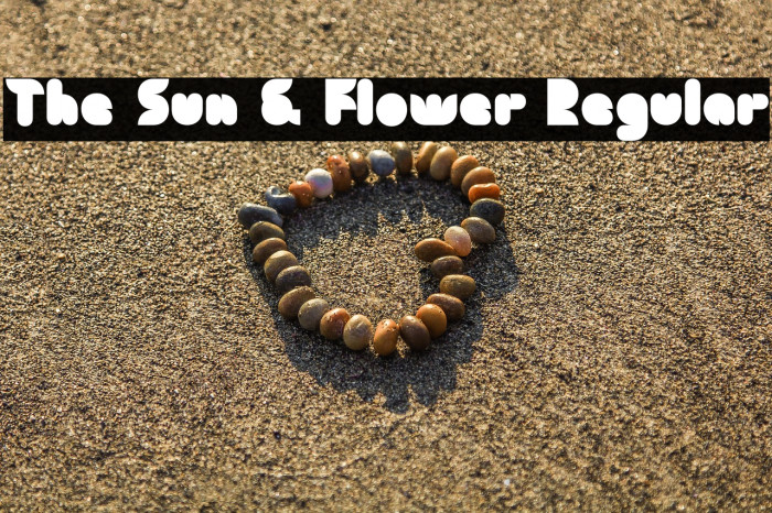 The Sun & Flower Regular Example 1