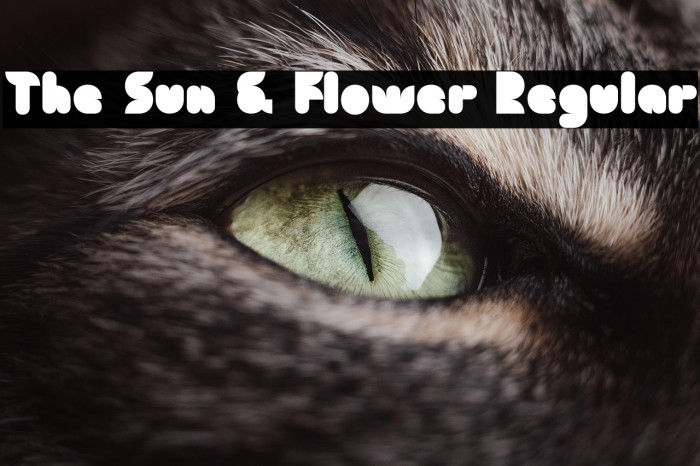 The Sun & Flower Regular Example 3