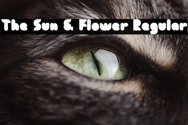 The Sun & Flower Regular Example 3
