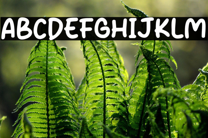 The Sunday Example 3