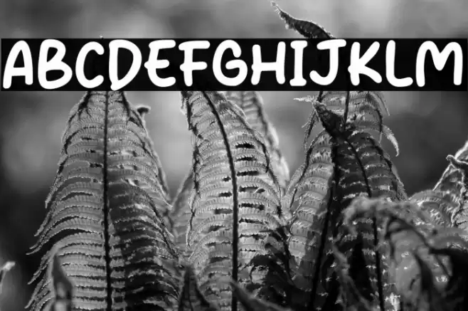 The Sunday Font examples