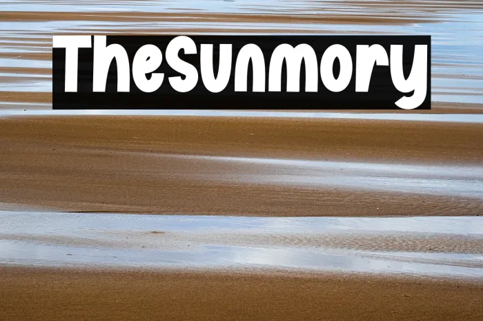 The Sunmory Example 1