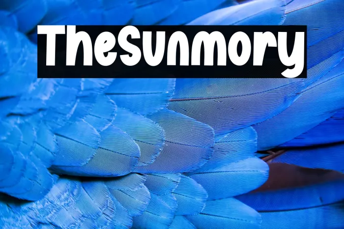 The Sunmory Example 2