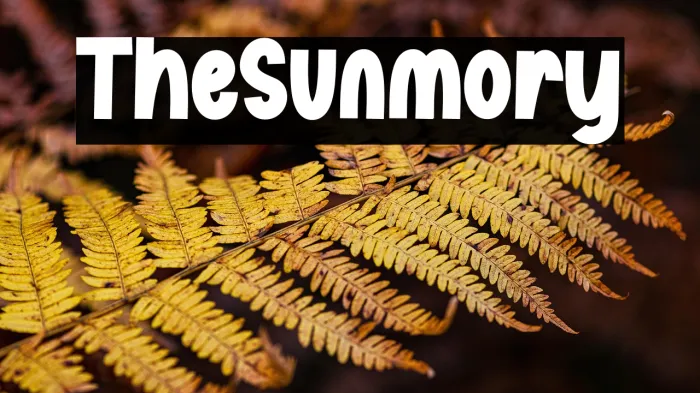 The Sunmory Example 3