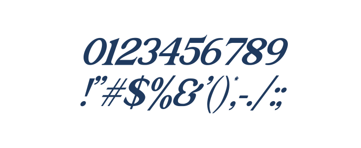 The Texterius Italic Other Characters