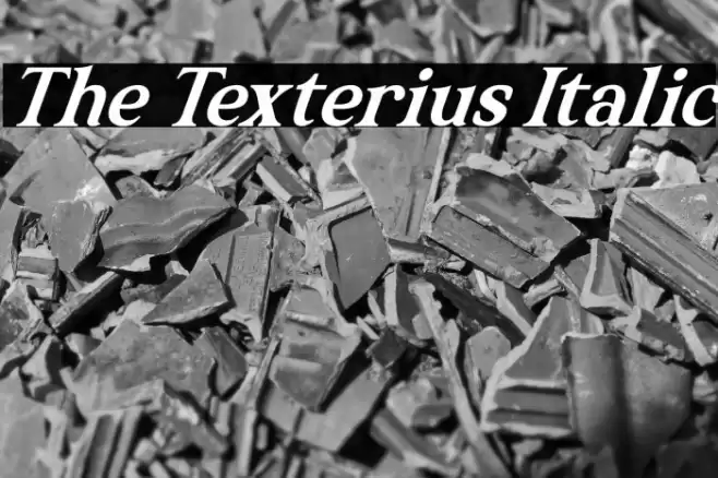 The Texterius Italic Font examples