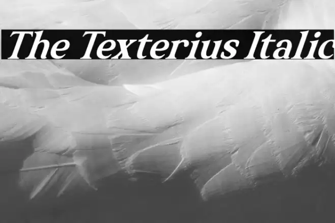 The Texterius Italic Font examples