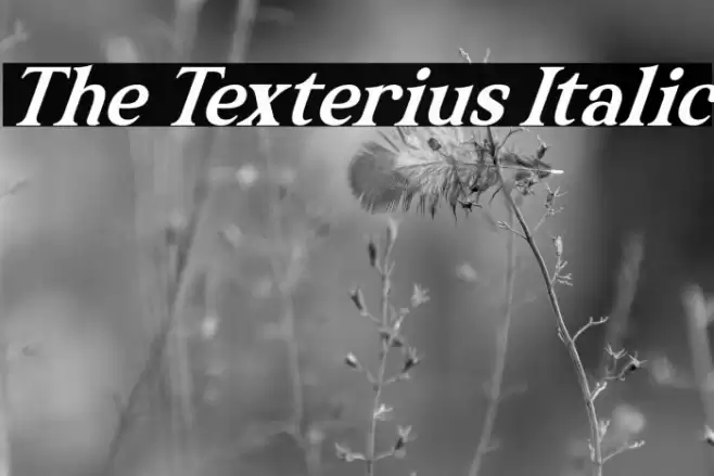 The Texterius Italic Font examples