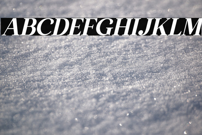 The Thesla Ohago Italic Example 1