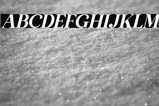 The Thesla Ohago Italic Font examples