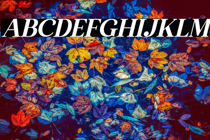 The Thesla Ohago Italic Example 3