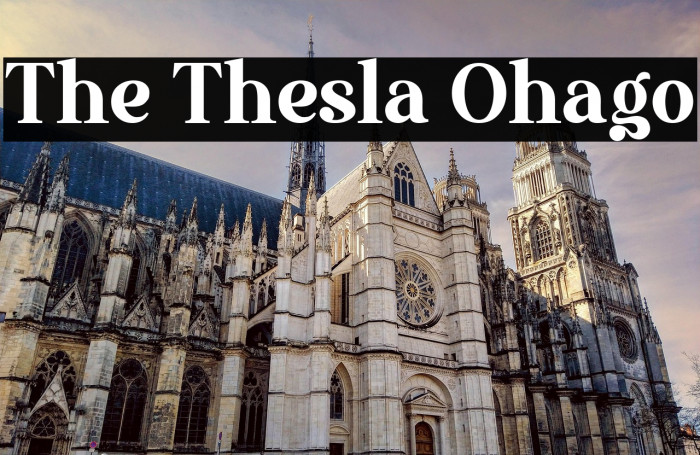 The Thesla Ohago Example 1