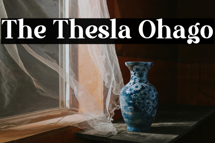 The Thesla Ohago Example 2