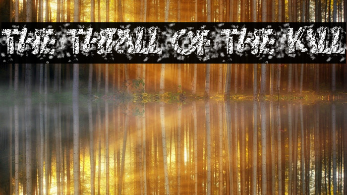 The Thrill Of The Kill Font examples