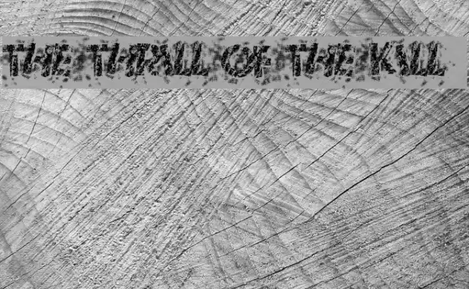 The Thrill Of The Kill Font examples